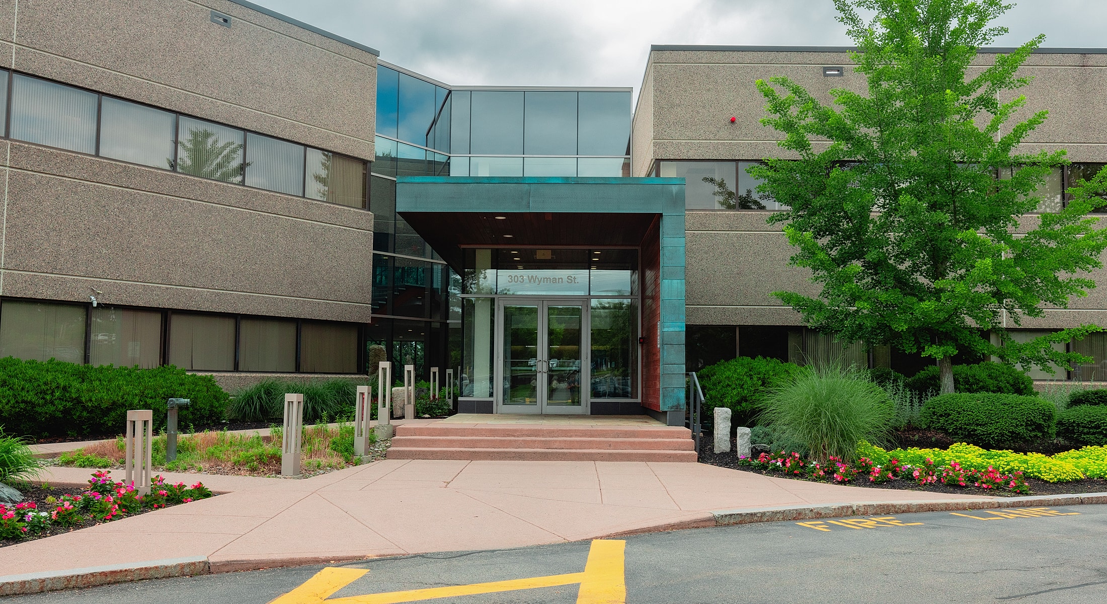 Medical Aesthetics Training Equips Aestheticians With The Best Knowledge And Techniques